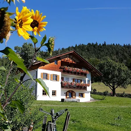 Gastreinhof *